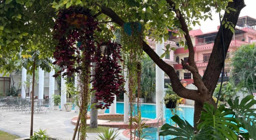 Club Denovo Hotel Butwal Ngoại thất bức ảnh