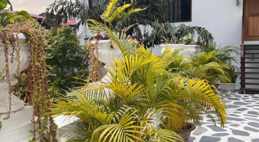 Club Denovo Hotel Butwal Ngoại thất bức ảnh
