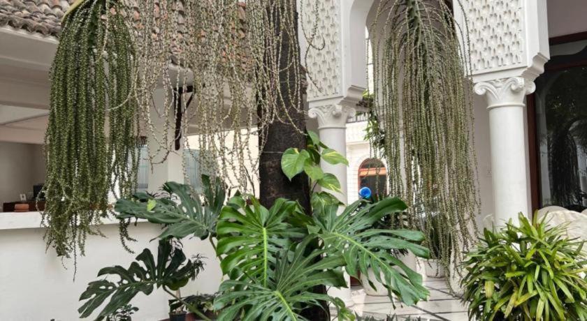Club Denovo Hotel Butwal Ngoại thất bức ảnh